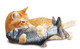 Spot Flippin Fish Interactive Cat Toy With Catnip For Indoor Cats and Kittens Touch Activated Flipping Tail Rechargeable With Usb Hours Of Fun 115 Inch