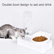 Marchul Cat Bowls Pet Food Bowls Tilted Cat Bowl For Indoor Cats Dog Food And Water Bowl Set