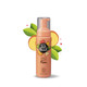 Pet Head Quick Fix Dog Dry Clean Spray Peach Scent Dry Dog Shampoo For Smelly Dogs Nourishes And Softens Coat and Skin Vegan Gentle Formula For Puppies Made In Usa 101 Fl Oz