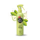 Pet Head Mucky Pup Puppy Shampoo Pear Scent Shampoo For Puppies From 8 Weeks Professional Grooming Vegan Dog Shampoo Gentle Formula For Puppies Made In Usa 16 Fl Oz