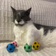Spot Sponge Soccer Ball Cat Toys For Cats And Kittens Interactive And Colorful Plush Toy Fun To Bat And Chase Keep Cats Entertained 15 Assorted 4Pack