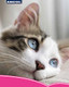 Ancol Ergo Soft Cat Brush With Bristles Pet Kitten Multipurpose Hygiene Moulting Tool Professional Grooming Accessory