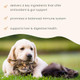 Dr Mercola Bark and Whiskers Immune Support Immune Health Support Prebiotics Colostrum Moringa Yeast Fermentate 350 Oz 60 Scoops
