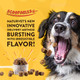 Naturvet Scoopables AllInOne Multivitamin For Dogs Dog Vitamins And Supplements For Joint Support Digestion Skin and Coat Care and Immune Hickory Smoked Bacon Flavor Vitamin Supplement 11Oz Bag