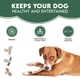 Highland Antler 100% Natural Split Antler Dog Chews The HypoAllergenic Dog Chew Like Stagbar Weight Small 3050G Size May Vary