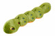 Fluff and Tuff Katie The Caterpillar