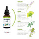 Phytopet Herbal Allergy Aid 50Ml Natural AntiInflammatory and AntiHistamine Relieves Itchy Skin Sneezes Allergies For Pets