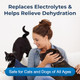 Petag Pet Pectillin AntiDiarrheal 4 Oz Helps Relieve Diarrhea Or Loose Stool In Dogs And Cats Replaces Lost Electrolytes Easy To Administer
