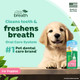 Tropiclean Fresh Breath Toothbrush And Toothpaste Kit For Puppies Teeth Cleaning Kit To Prevent Plaque and Tartar Breath Freshener Dog Dental Care