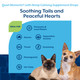 Naturvet Hemp Quiet Moments Calming Drops Enhanced With Hemp Seed Oil LTryptophan and Ginger Helps Reduce Stress and Promote Relaxation For Dogs and Cats