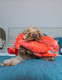 Fluff and Tuff Manny Lobster
