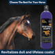 E3 Brightening Shampoo For Horses 32Oz Enhances Coat Color Deep Cleansing Moisturizes and Conditions Gentle Formula Vet Approved