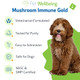 Pet Wellbeing Mushroom Immune Gold For Dogs Immune Defense 8 Oz Nasc and VetFormulated Liquid Mushroom Supplement With Reishi and Turkey Tail For Complementary Immune Support