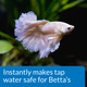 Api Betta Water Conditioner Betta Fish Freshwater Aquarium Water Conditioner 17Ounce Bottle