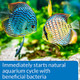 Api Quick Start Freshwater And Saltwater Aquarium Nitrifying Bacteria 1Ounce Bottle Blues and Purples