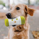 All For Paws Dog Treat Roll Interactive Dog Treat Dispenser Durable Dog Chew Toy Balland Tooth Cleaning Toy
