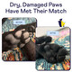 Finn Paw Hero Dog Paw Balm Hot Pavement Protection LickSafe 175 Oz Olive and Avocado Oil Beeswax Aloe and Vitamin E 7 Natural Ingredients Repairs Dry Cracked Pads