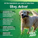 Vital Planet Natural Hip And Joint Supplement For Dogs Potent Herbal Blend With Green Lipped Mussel Msm And Glucosamine 120 Chewable Tabs