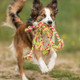 Trixie Denta Fun Rope Toy With Woven In Ball For Dog 44 X 7 Cm Color May Vary