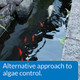 Api Pondcare Microbial Algae Clean Biological Inhibitor Of Green Water Alternative Approach To Algae Control 16Ounce Bottle