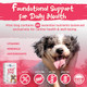 Vital Planet Vital Dog Multi Vitamin Chewable Tablet Supplement For Everyday Health With Vitamins Minerals And Antioxidants For Dogs 30 Beef Flavored Chewable Tablets