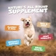 Pets Purest Salmon Oil For Dogs Cats Horses Ferrets and Pets 32 Fl Oz 100% Pure Premium Food Grade Natural Omega 3 6 and 9 Supplement Promotes Coat Skin Joint And Brain Health