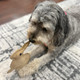 Spot DuraFused Leather Rabbit Dog Toy Durable Real Leather and Jute Chew Toy With Squeaker DoubleStitched For Moderate Chewers Small and Medium Dogs 75In