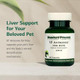 Standard Process Inc Vf Antronex For Pets Feline and Canine Hepatic Support Formula Healthy Liver Supplement For Cats and Dogs Antronex Supplement To Support Healthy Immune System 90 Tablets