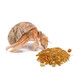 Florida Marine Research Sfm00007 Hermit Crab Treat 15Ounce