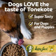 Happy Jack Tonekote Dog Skin and Coat Supplement Oil For Dogs With Essential Fatty Acids and Vitamins For Itch Relief Hot Spots Dull Coat Dry Skin Excessive Shedding 16 Oz