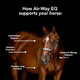 Mvp AirWay Eq Supports Healthy Lung Function And Seasonal Allergy Support In Horses 5Lb 40 Servings