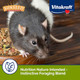 Vitakraft Sunseed Vita Prima Rat And Mouse Food 2Lb Resealable Bag Supports Instinctive Foraging Blended With Grains Added Vitamins And Minerals Ingredients No Artificial Colors Flavors Or Preservatives