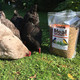 Tradeking 5 Lb Dried Mealworms High Protein Treat For Wild Birds Chicken Fish and Reptiles