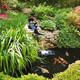 Tetra Pond Algaecontrol 169 Ounces Controls Green Water And String Algae In Ponds 77187