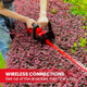 PULITUO 12V Cordless Handheld Grass Shear and Shrub Trimmer, 2-in-1 Hedge Trimmer That Comes with 2 PCS 2.0Ah Li-Ion Batteries and a Fast Charger Included.