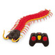 Terra By Battat Rainbow Boa Infrared Remote Control Snake With Light Up Eyes Electronic Animal Toy And Playset For Kids Realistic Reptile Fun And Interactive 6+ Years