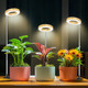 Aokrean Grow Light, Full Spectrum Plant Lights for Indoor Growing with Base | 48 LEDs Halo Grow Lamp for Small Plants, Base/Soil Insert, 6.5-26in Adjustable, 3 Spectra, 3/9/12H Timer,10 Brightness,3 Pack
