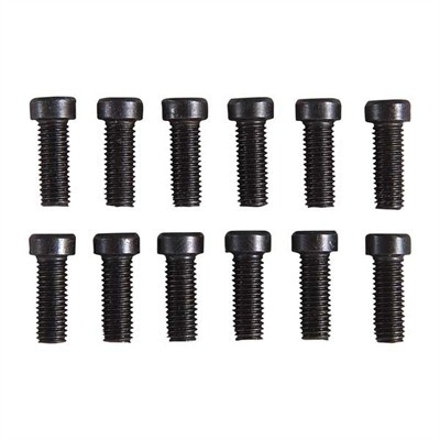 SOCKET HEAD SCOPE RING & BASE SCREW KIT
