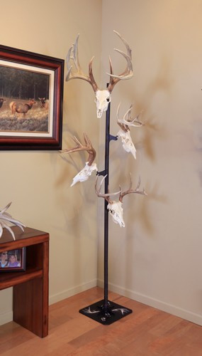 Skull Hooker Trophy Tree Skull Display Stand with 5 Brackets