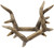 Flextone FLX-FLXDR064 Battle Bones Rattling Antlers Attracts Deer Species Brown