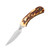 Bear & Son Ergonomic Caper Fixed Knife 2-1/2" Clip Point Blade Stag Delrin with Leather Sheath