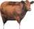 Montana Decoy Co Big Red Moo Cow Decoy