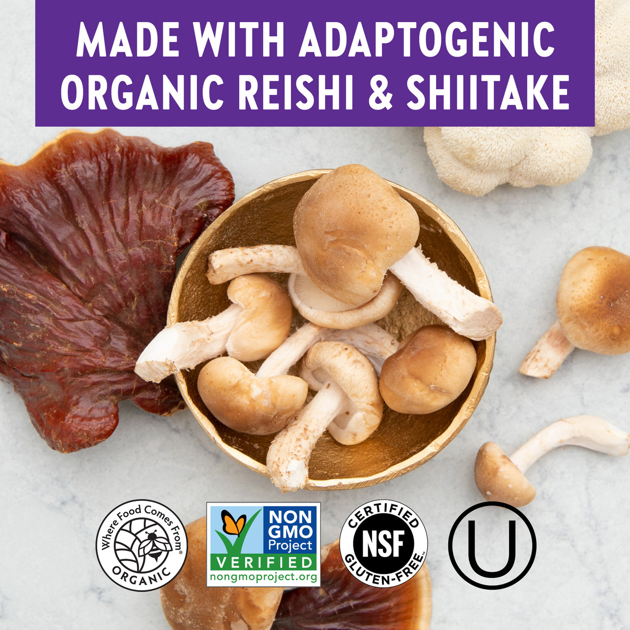 Shiitake Mushroom Benefits: Unlocking Health Secrets
