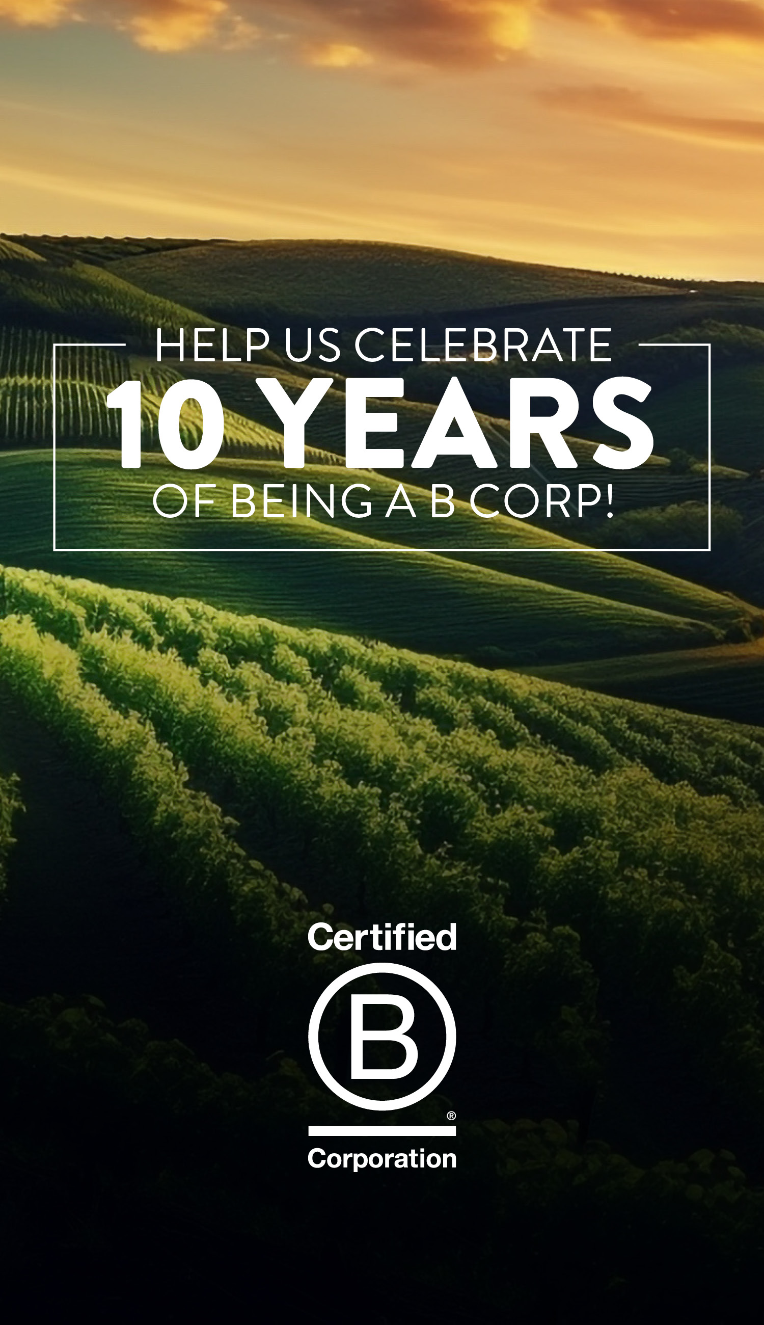 Help Us Celebrate 10 Years of Being a B Corp