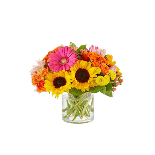 Pop of Sunflower