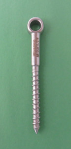 Stainless Steel 316 M10 Lag Screw Eye Bolt Forged 10mm x 100mm Marine Grade