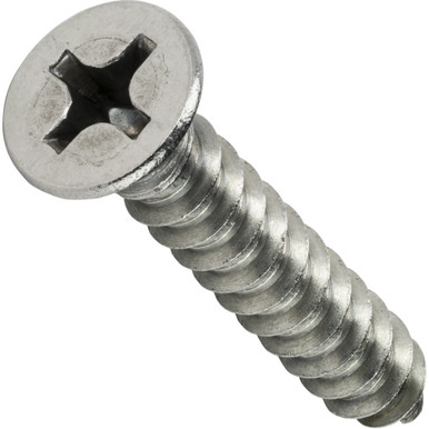 300 Pcs M2*10mm 316 Stainless Steel Phillips Flat Head Self Tapping Wood Screw