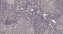 Immunohistochemical analysis of paraffin-embedded human tonsil. 1, Antibody was diluted at 1:200 (4°C overnight). 2, STJ196145