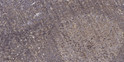 Immunohistochemical analysis of paraffin-embedded human tonsil. 1, Antibody was diluted at 1:200 (4°C overnight). 2, STJ90693