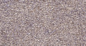 Immunohistochemical analysis of paraffin-embedded human spleen. 1, Tris-EDTA, pH 9.0 was used for antigen retrieval. 2, STJ95890